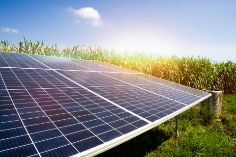 agrovoltaics