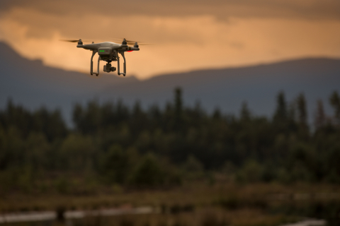 Drone