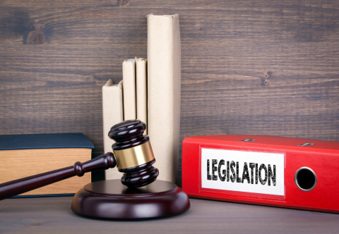 Legislativa